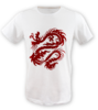 Ejderha atesi canta erkek tshirt on3