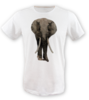 Low poly fil tisort erkek tshirt on3