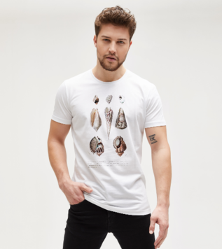 Types of Mollusks T-shirt 