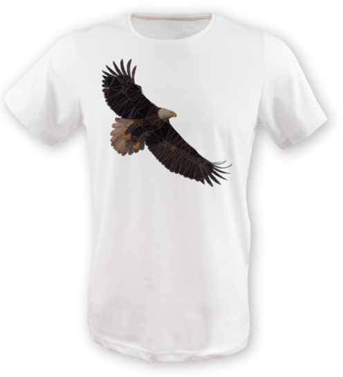 Low-poly-kartal-tisort erkek-tshirt on3