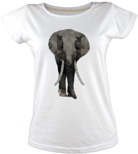 Low-poly-fil-tisort kadin-tshirt on3