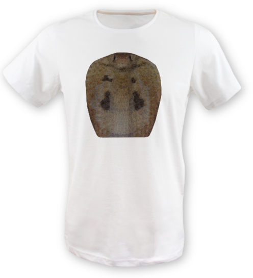 Low-poly-yilan-tisort erkek-tshirt on3